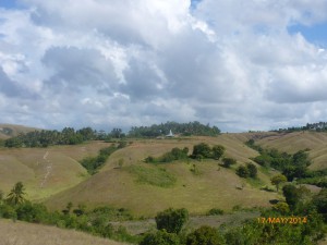 Het landschap