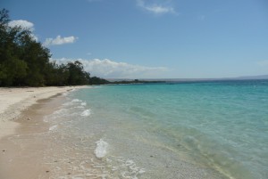 Strand Sumba